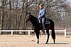 IMG_1012web.jpg