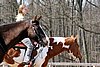 IMG_1014web.jpg