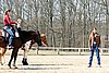 IMG_1018web.jpg
