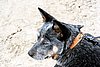 IMG_1028web.jpg