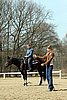 IMG_1031web.jpg