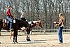 IMG_1034web.jpg