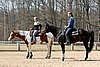 IMG_1038web.jpg