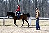 IMG_1042web.jpg