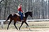 IMG_1043web.jpg