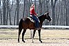 IMG_1044web.jpg