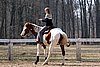 IMG_1045web.jpg