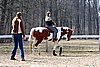IMG_1048web.jpg