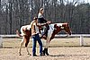 IMG_1054web.jpg
