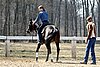 IMG_1055web.jpg