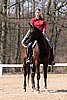 IMG_1067web.jpg