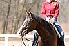 IMG_1070web.jpg