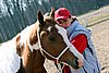 IMG_1115web.jpg