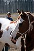 IMG_1116web.jpg