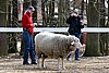 IMG_1121web.jpg