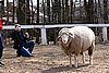 IMG_1122web.jpg