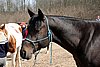 IMG_1127web.jpg