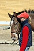 IMG_1129web.jpg