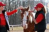 IMG_1395web.jpg