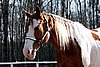 IMG_1404web.jpg