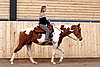 IMG_1417web.jpg