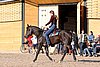 IMG_1426web.jpg