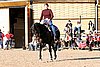 IMG_1430web.jpg