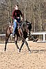 IMG_1432web.jpg