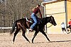 IMG_1434web.jpg