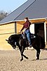 IMG_1436web.jpg