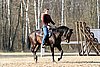 IMG_1438web.jpg