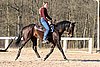 IMG_1440web.jpg
