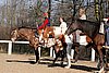 IMG_1446web.jpg