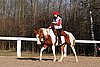 IMG_1450web.jpg