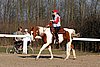 IMG_1451web.jpg