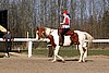IMG_1452web.jpg