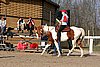 IMG_1453web.jpg