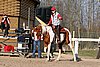 IMG_1454web.jpg
