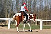 IMG_1455web.jpg