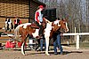 IMG_1459web.jpg