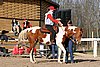 IMG_1460web.jpg