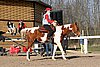 IMG_1461web.jpg