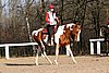 IMG_1463web.jpg