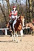 IMG_1464web.jpg