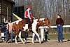 IMG_1465web.jpg