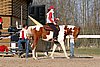 IMG_1466web.jpg