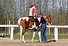 IMG_1467web.jpg