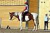 IMG_1474web.jpg