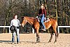 IMG_1501web.jpg