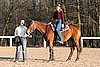 IMG_1503web.jpg